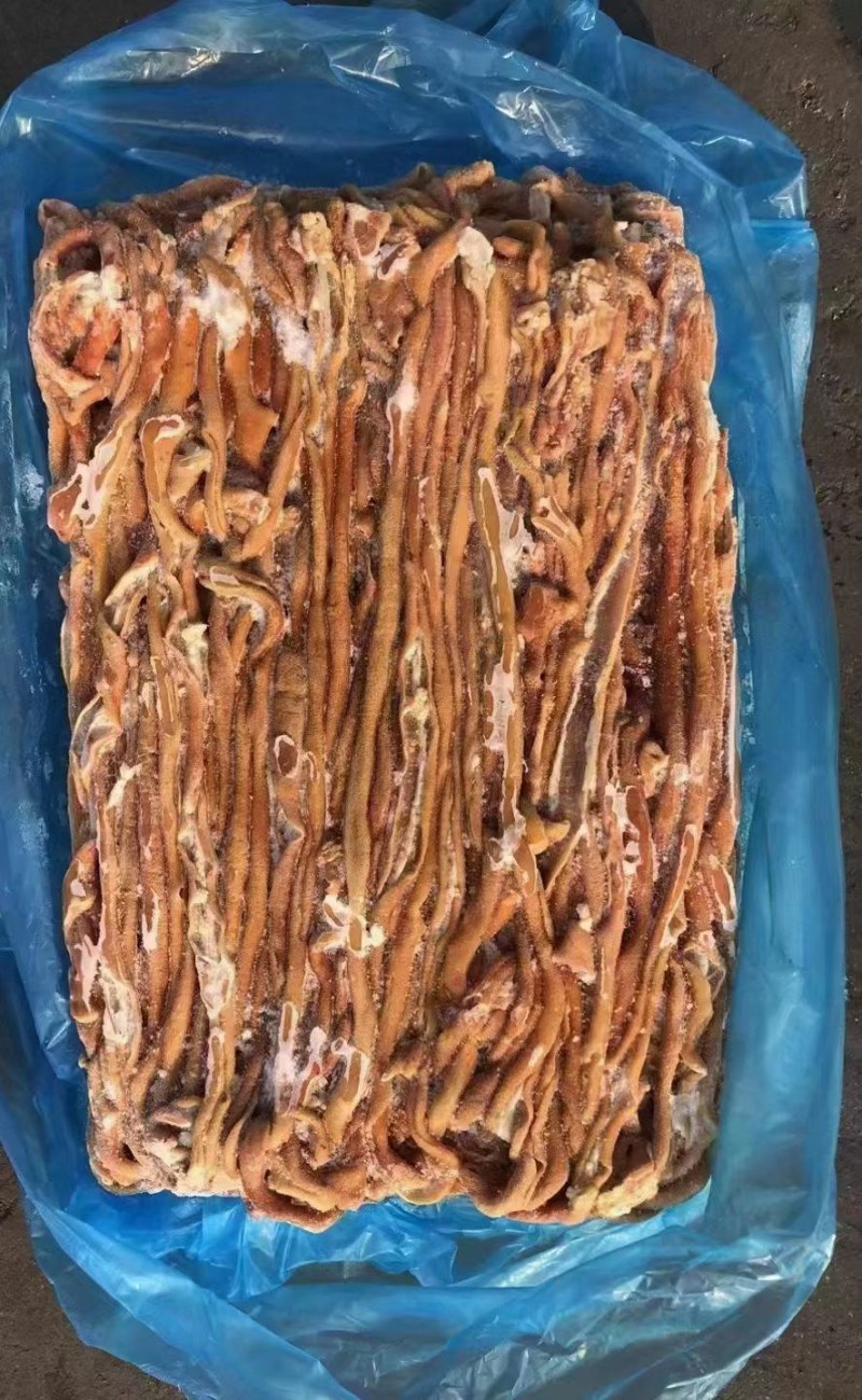 鸡肠小包装，箱装，板冻黄金鸡肠，817鸡肠，规格齐全现货