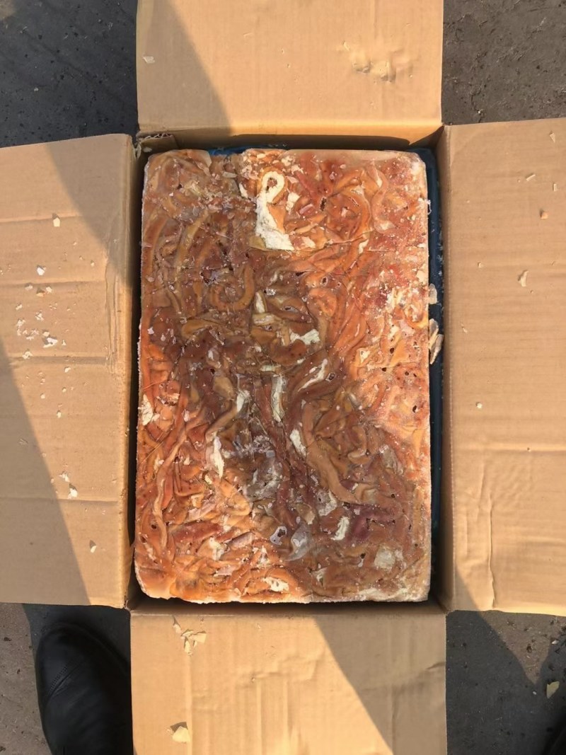鸡肠小包装，箱装，板冻黄金鸡肠，817鸡肠，规格齐全现货