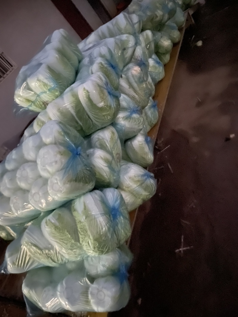 需要的朋友可以联系我