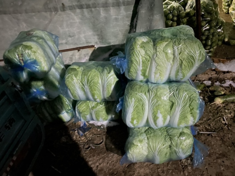 需要的朋友可以联系我