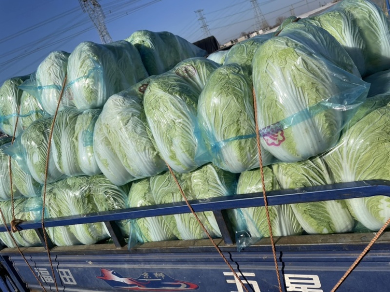需要的朋友可以联系我