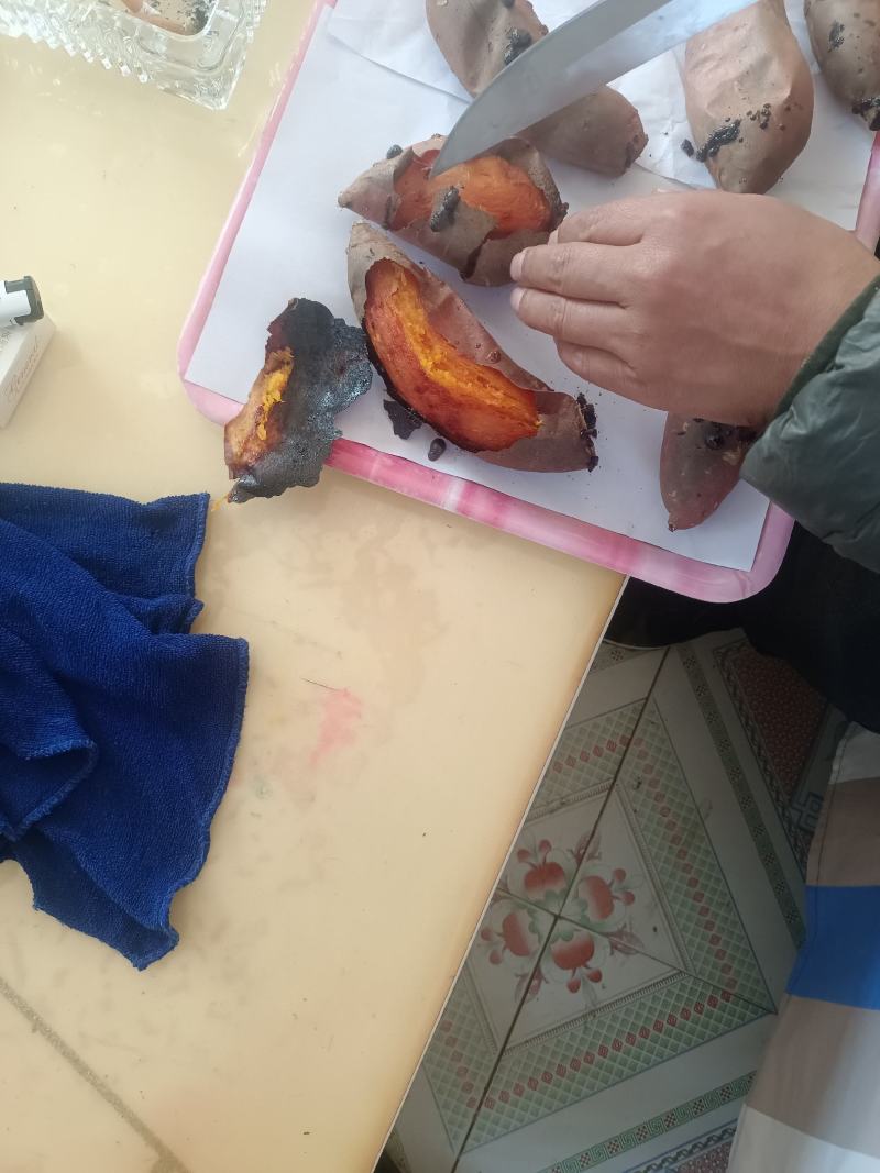 烟薯25大量出窖