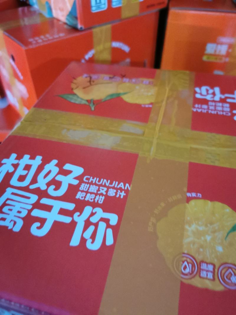 自家耙耙柑，全程生态种植。一件代发