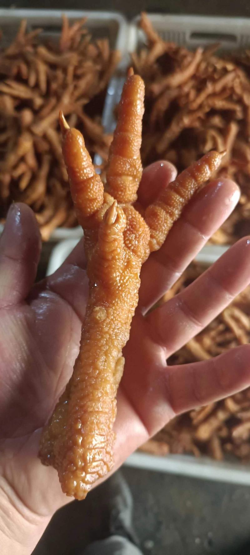 【虎皮鸡爪】油炸大鸡爪，货干出品率高，长期稳定有货，