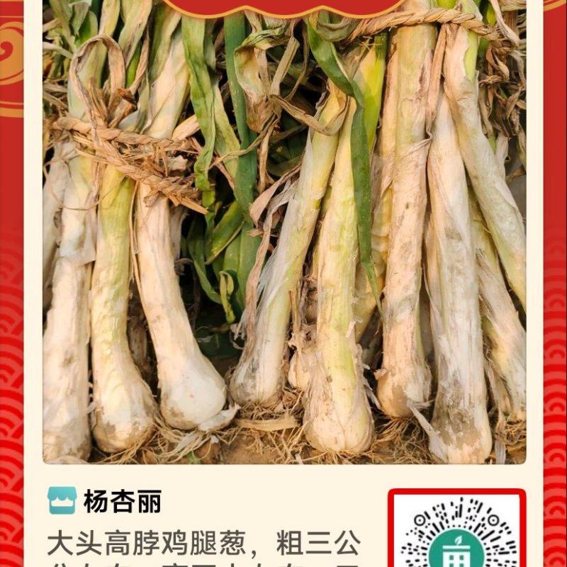 出售改良鸡腿葱，高脖五十左右，粗3公分左右，口感好味道浓