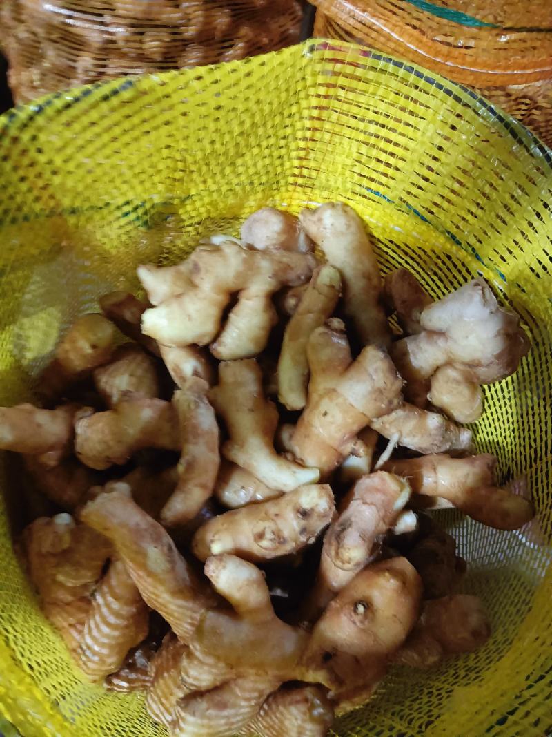 泥姜，烘干姜，优质大姜也可以做市场货还可以做姜种用