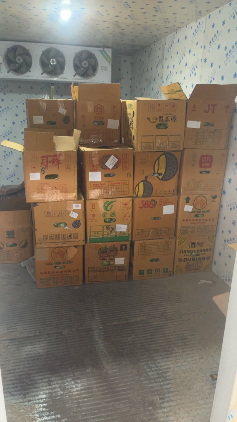 正宗广东香水柠檬，批量走，产地直发。大量有货