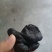 香菇下山货种植的十倍！品质保证，对接全国，欢迎来电采购！