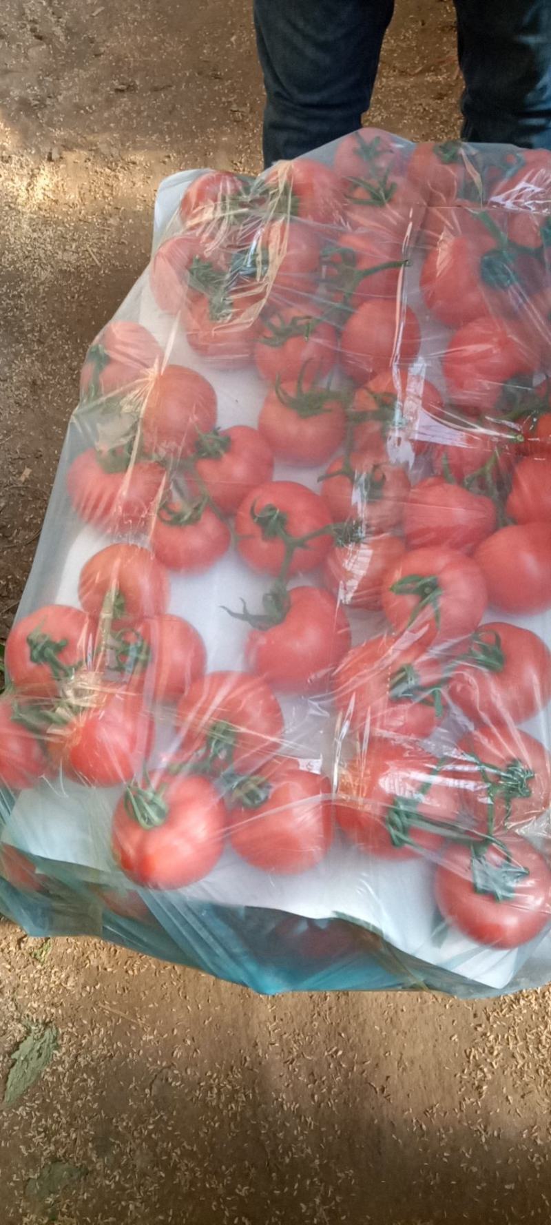 大量下货需要的老板联系
