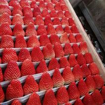 平度甜宝草莓