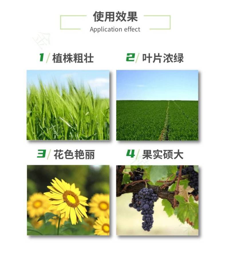 陶氏益农叶面肥果树蔬菜冲施肥高氮高磷高钾大量元素水溶肥料