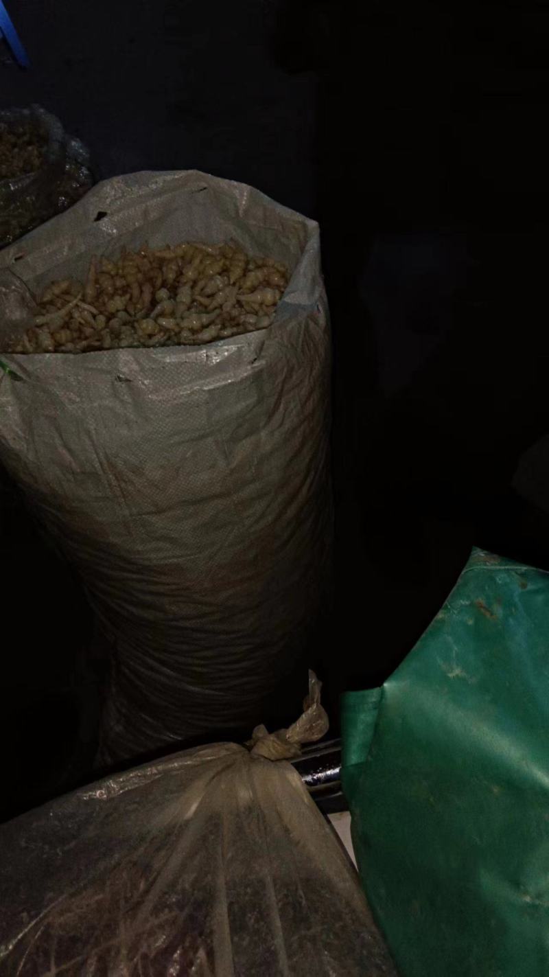 云南大理弥渡县小钢露量大从优欢迎致电咨询