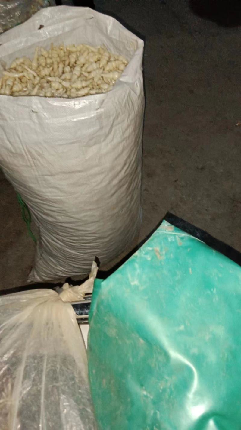 云南大理弥渡县小钢露量大从优欢迎致电咨询