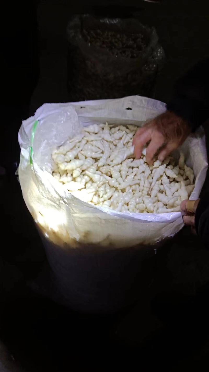 云南大理弥渡县小钢露量大从优欢迎致电咨询