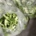 我有大量儿菜需要出售