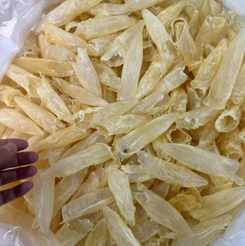 100多头花胶筒