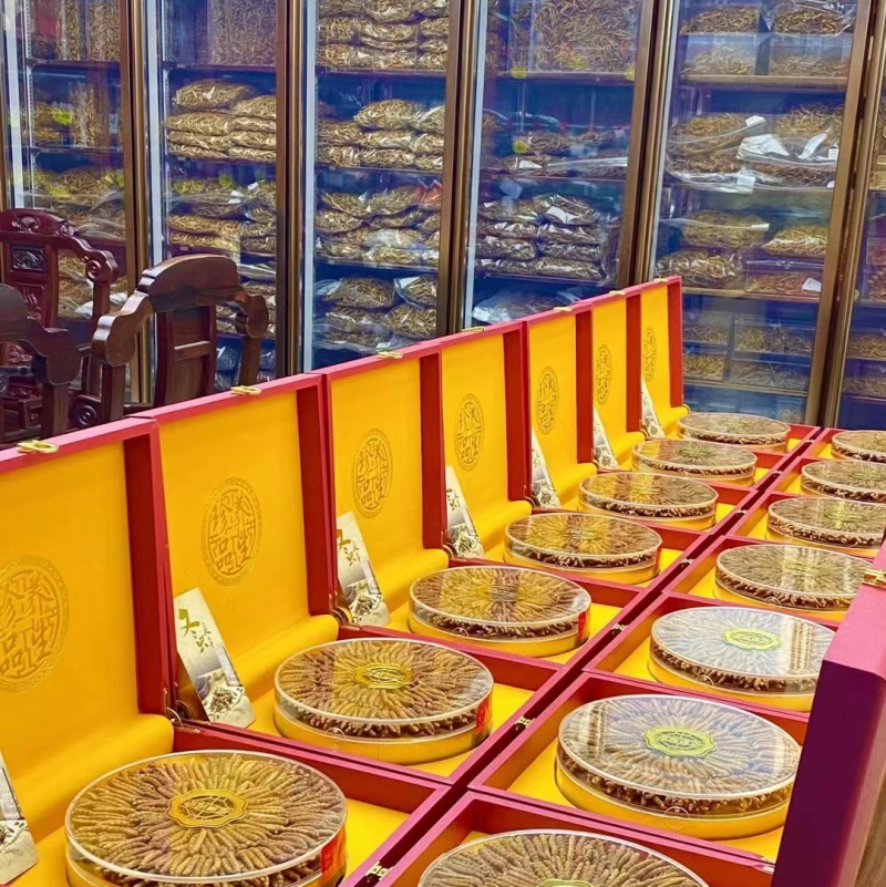 2500条虫草