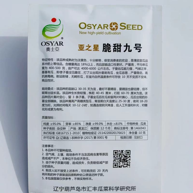 亚之星脆甜九号甜瓜种子成熟时果皮淡黄色薄皮甜瓜种子特甜