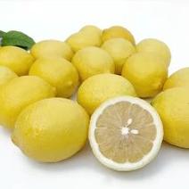 安岳柠檬柠檬产地大量供应，保质保量，价格便宜欢迎订购