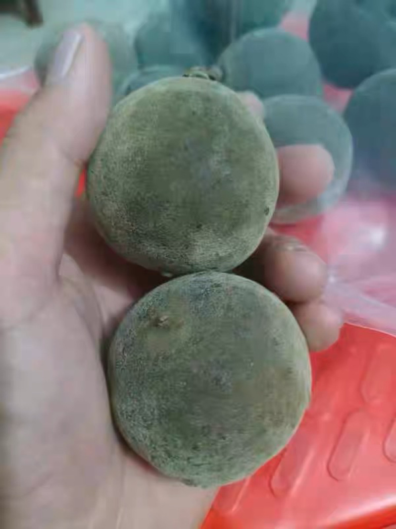 化橘红农家柴火烘干橘红通货2千斤左右