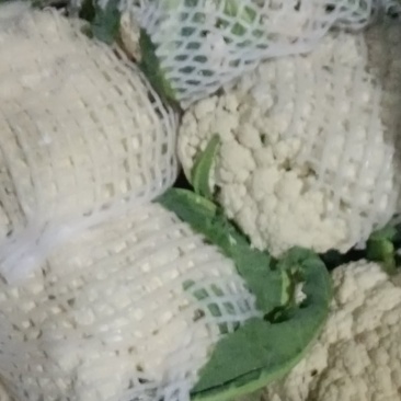 精品松花菜需要的一亩田与我联系