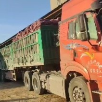 山东省聊城市東昌府区沙镇向阳村便民服务站，