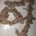 野生土茯苓，