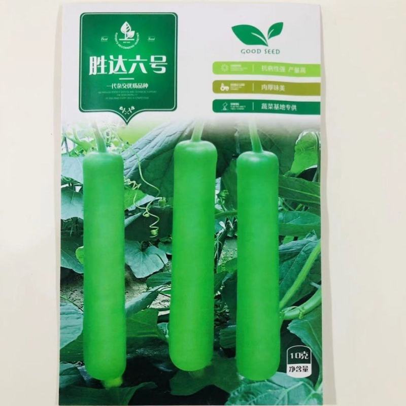 中短瓠瓜种子胜玉A6瓠瓜种子瓠瓜种中短棒蒲瓜种子瓠子种子
