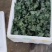 小兰小凤花皮黄瓤嫁接西瓜苗早春早熟精品礼品西瓜苗