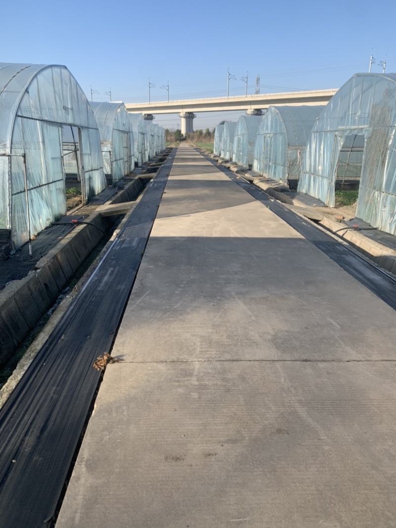 上海嘉定租菜地，租房子，蔬菜基地部分大棚出租，另有农用房出