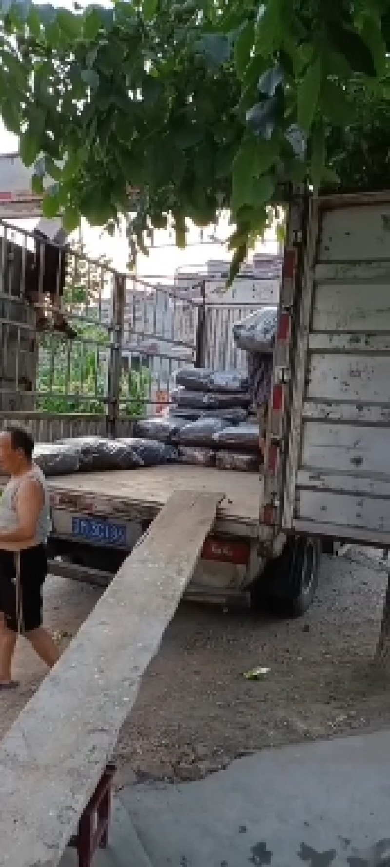 陕西精品干豇豆前期货