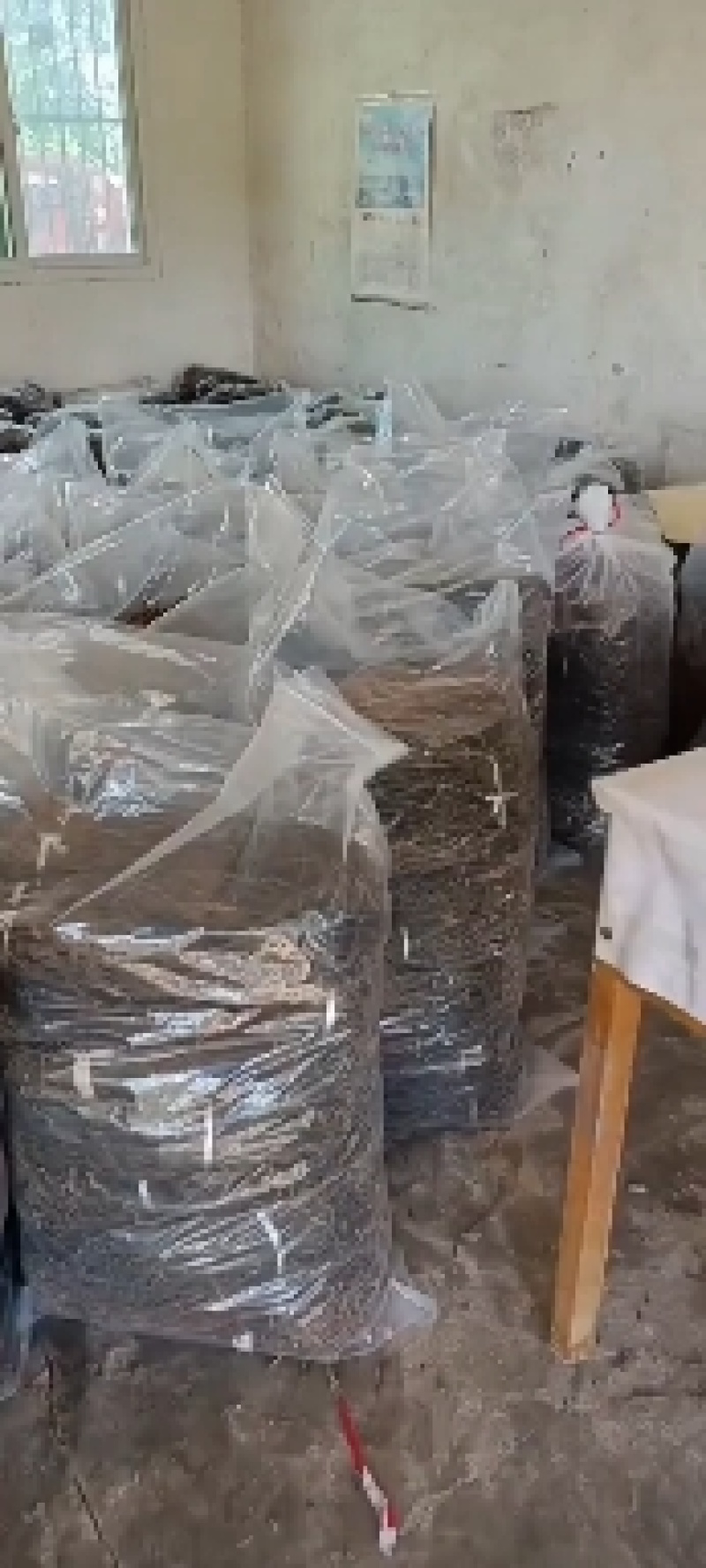 陕西精品干豇豆前期货