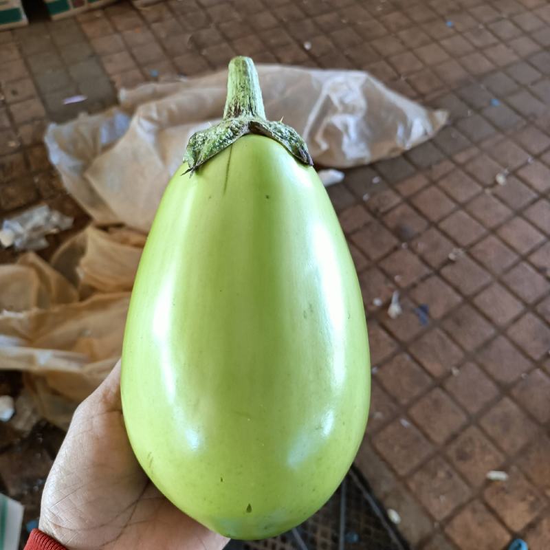 一手货源、产地直发、无中间商赚差价、货源充足