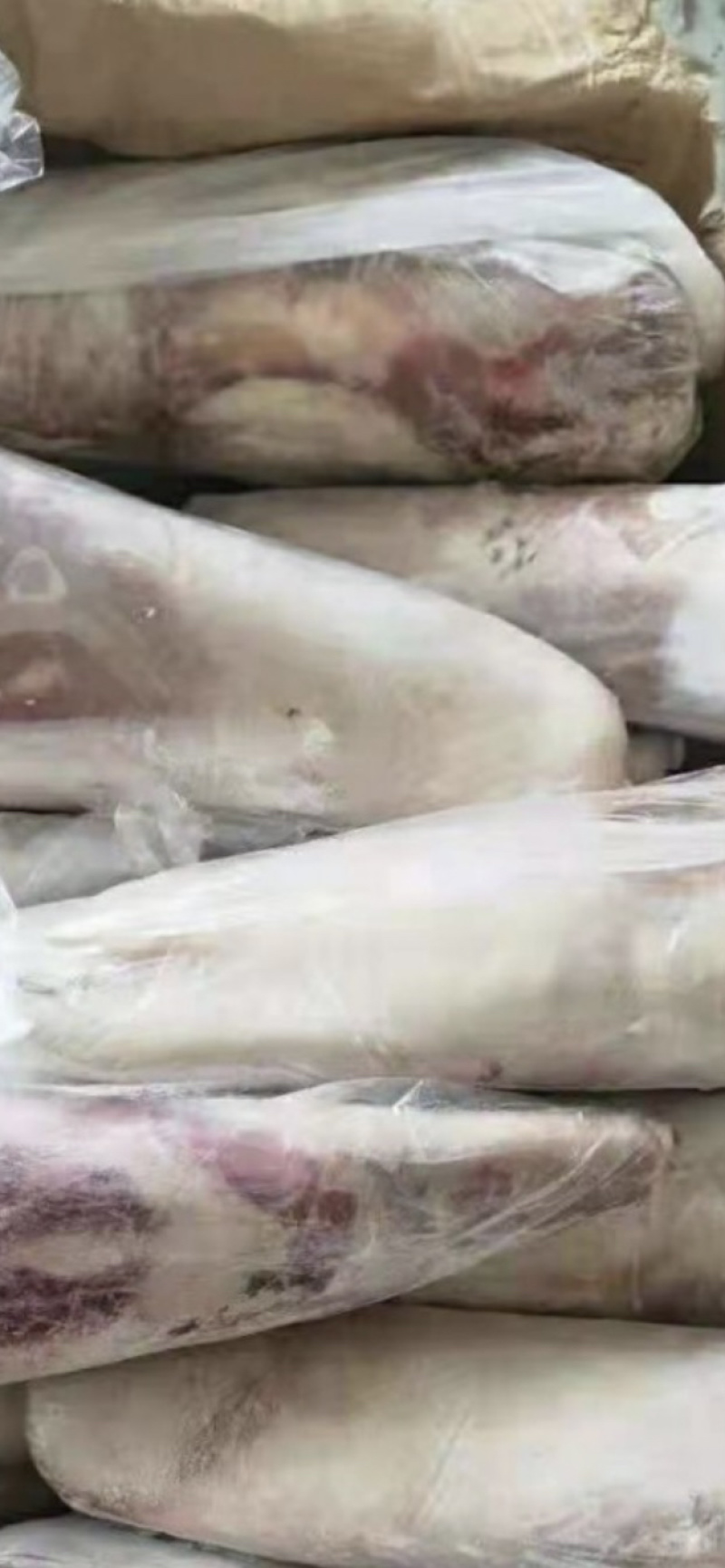 纯干牛舌