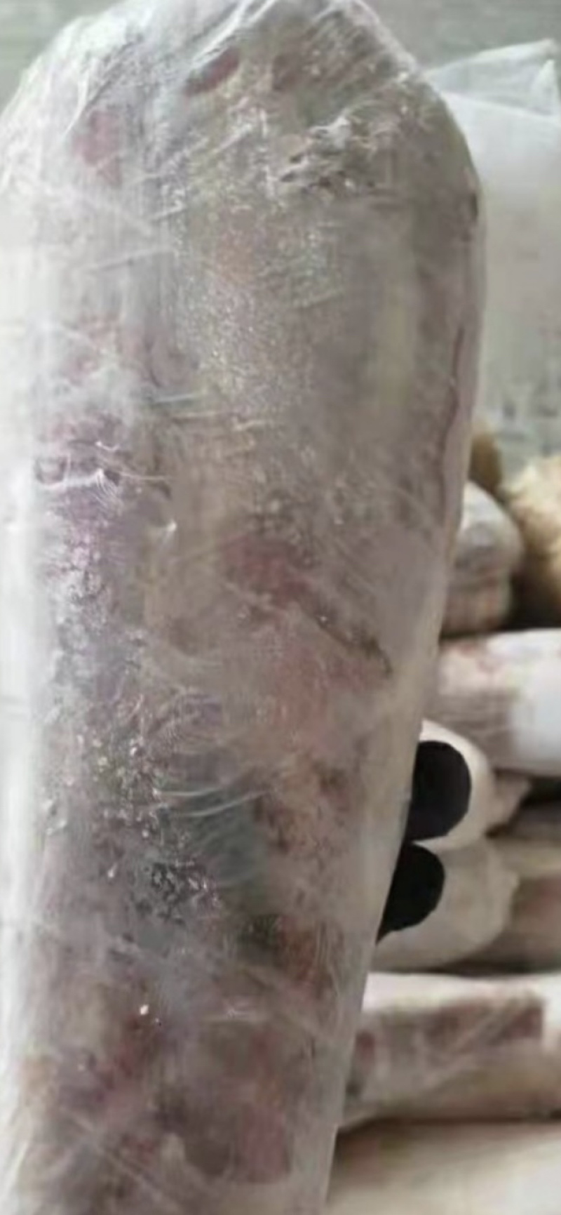 纯干牛舌
