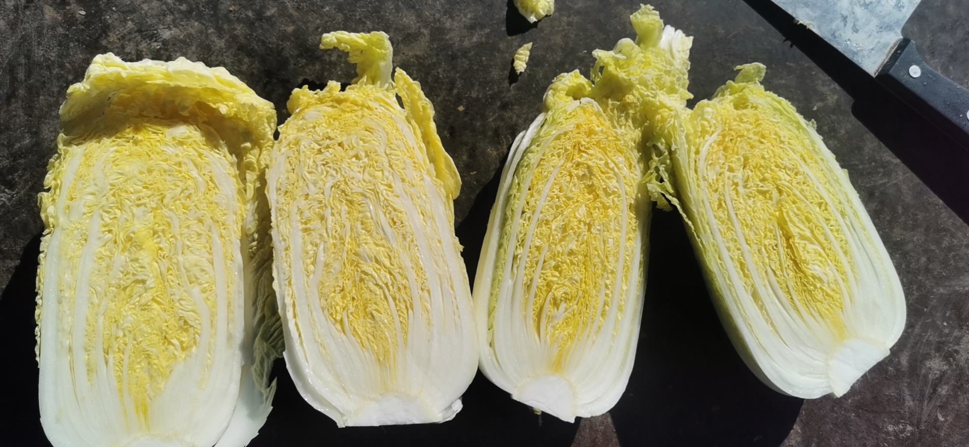 娃娃菜切开后内部发黑部位特写