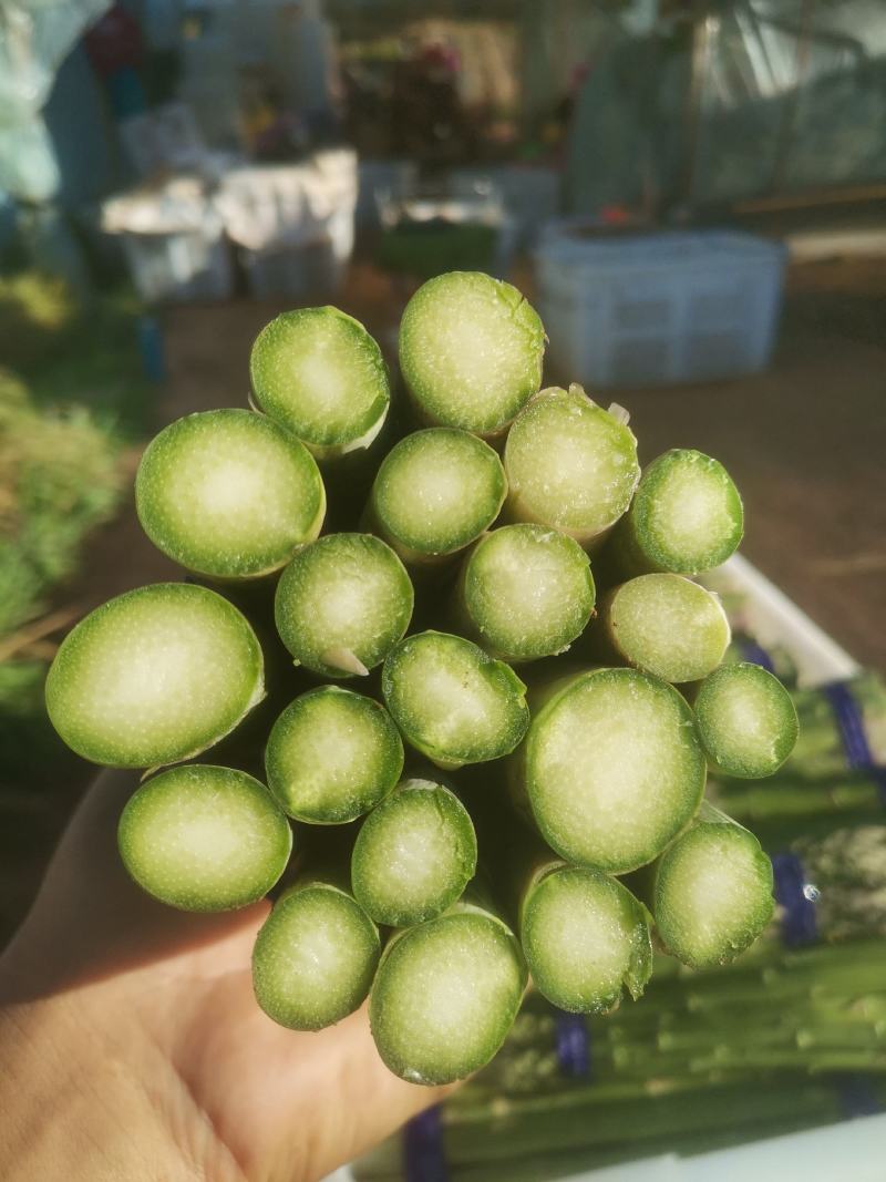 云南省楚雄市农悦绿芦笋