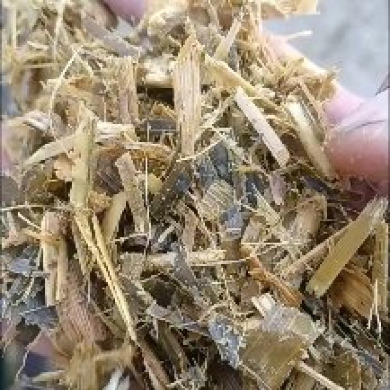 青储散装