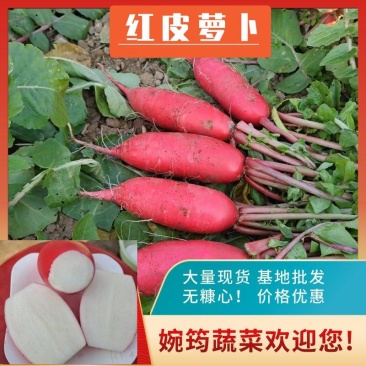 萝卜迟熟红皮萝卜！甜脆多汁，无糠心！货源充足欢迎来电！