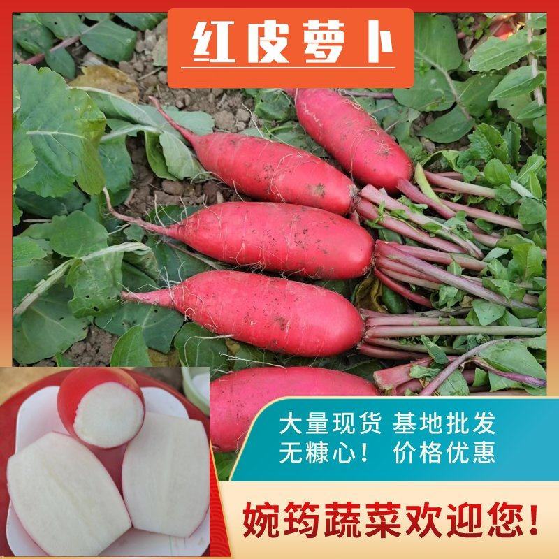 萝卜迟熟红皮萝卜！甜脆多汁，无糠心！货源充足欢迎来电！