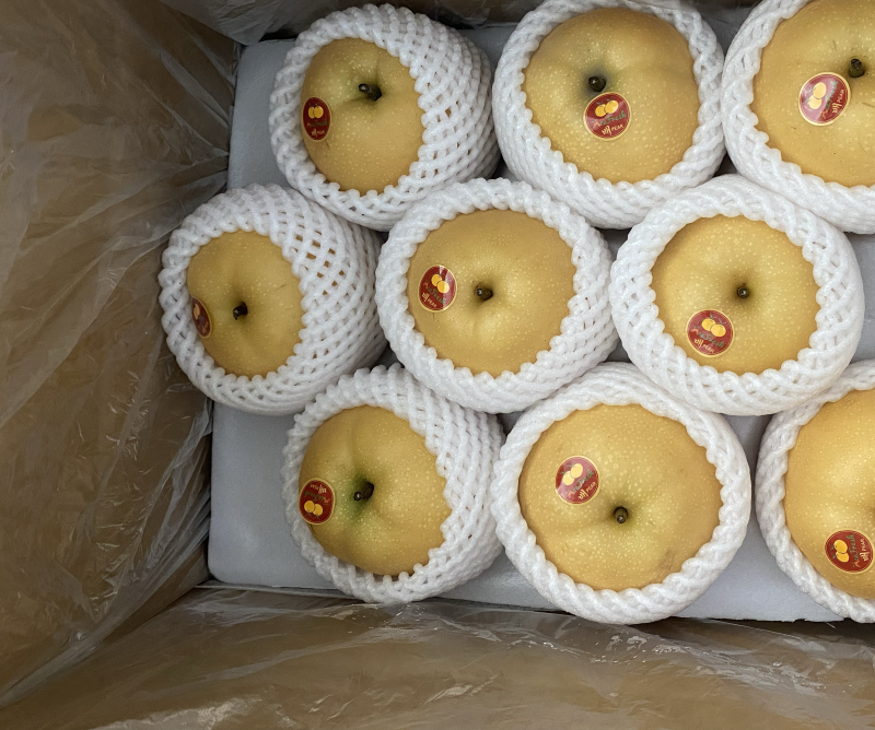 供应精品丰水梨、秋月梨，可出口加工、对接大型批发、商超