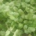 精品香菜
