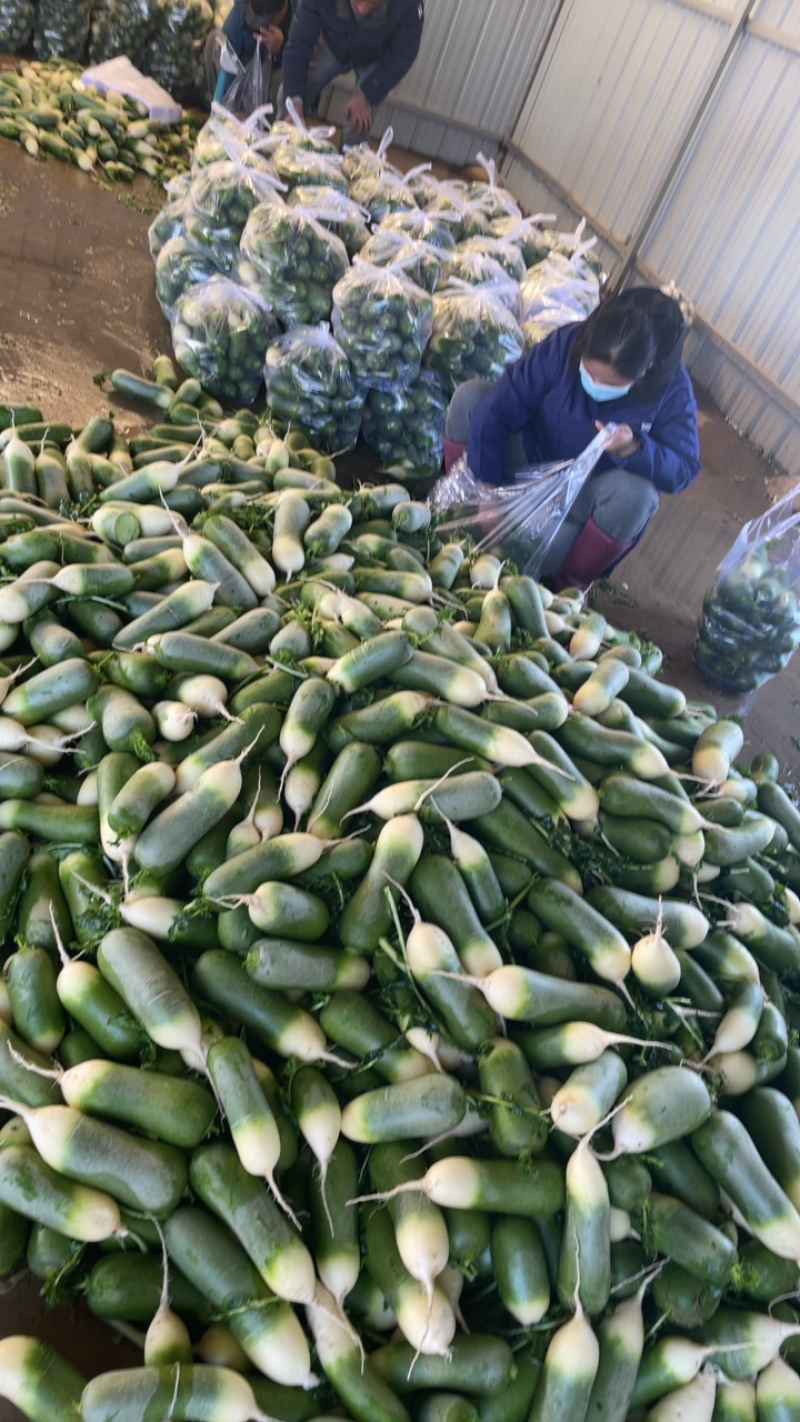 需要的朋友可以联系我