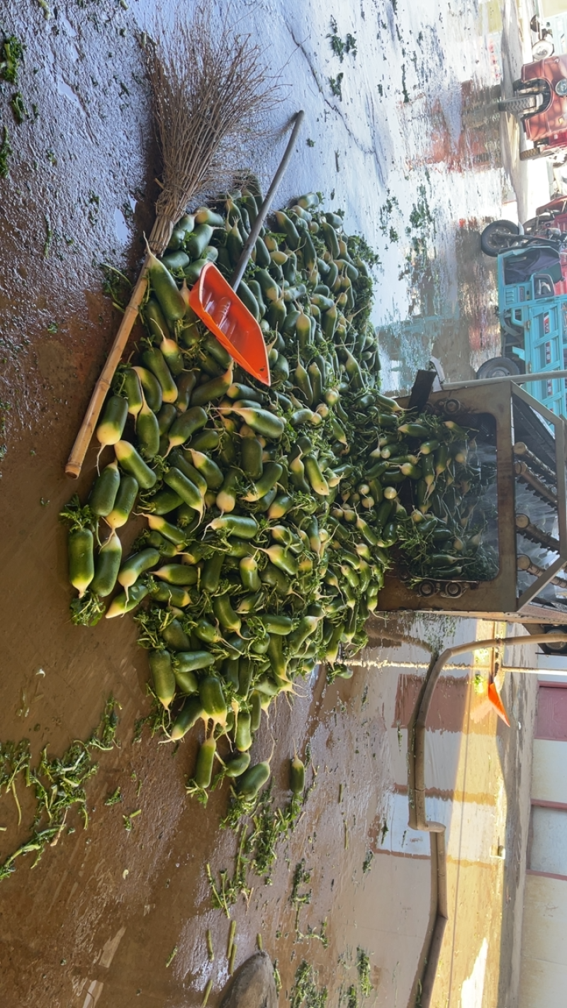 需要的朋友可以联系我