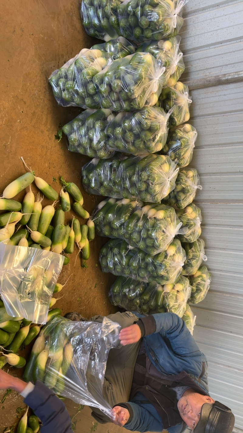 需要的朋友可以联系我