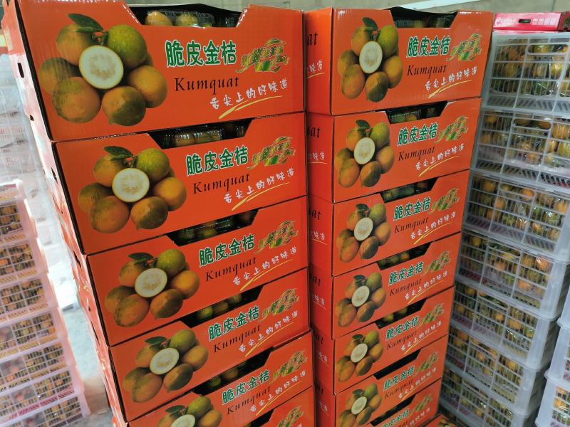 广西脆皮金桔，纯甜，化渣，口感好，风味佳！！