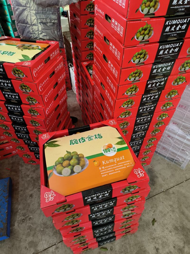 广西脆皮金桔，纯甜，化渣，口感好，风味佳！！