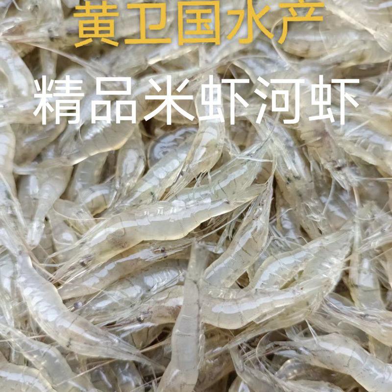 优质鲜活河虾:草虾:米虾产地直发:湖北潜江市:黄卫国水产