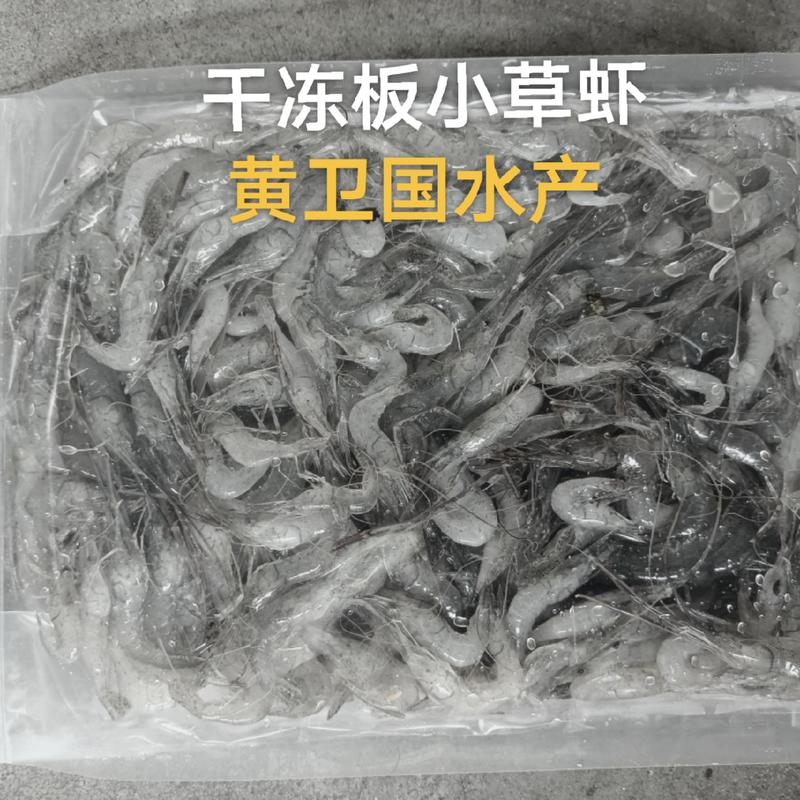 优质鲜活河虾:草虾:米虾产地直发:湖北潜江市:黄卫国水产