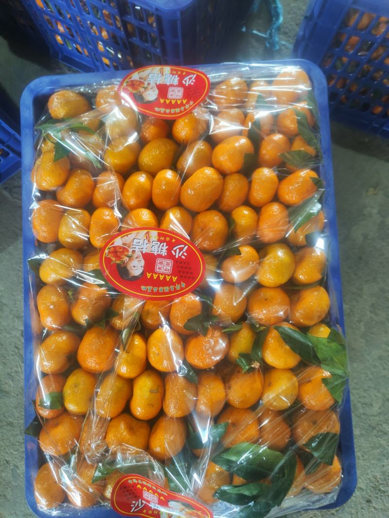 广西桂林南丰蜜橘，贡橘，皮薄多汁，入口即化，全国代发